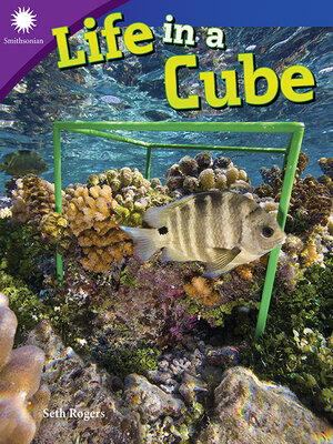 cover image of Life in a Cube